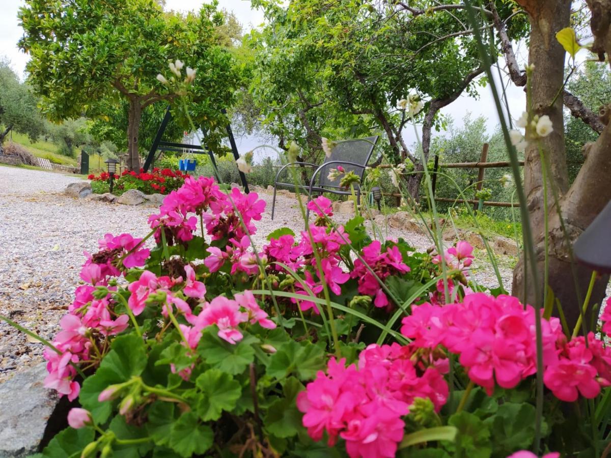 Casa Rural El Bonito 查兹拉德拉谢拉 外观 照片