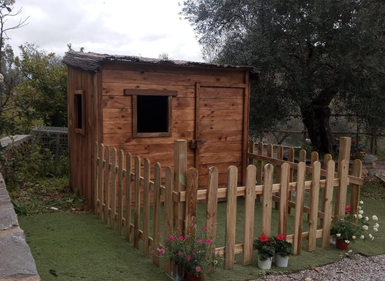 Casa Rural El Bonito 查兹拉德拉谢拉 外观 照片