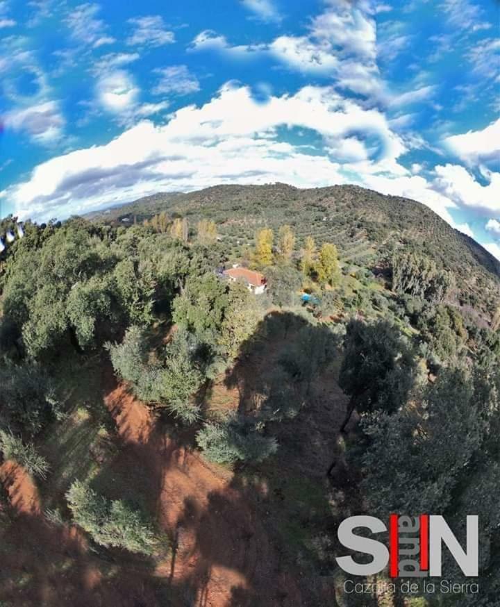 Casa Rural El Bonito 查兹拉德拉谢拉 外观 照片